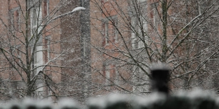 В Саратовской области ожидается снег с дождем и потепление до +3 градусов В Саратовской области ожидается снег с дождем и потепление до +3 градусов