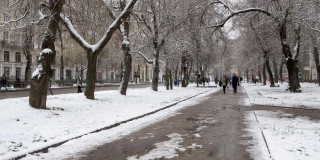 В Саратове март начнется со снега с моросью и плюсовой температуры В Саратове март начнется со снега с моросью и плюсовой температуры