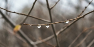 Неделя в Саратовской области пройдет с оттепелью, дождем и снегом Неделя в Саратовской области пройдет с оттепелью, дождем и снегом