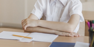 В России обозначили основные критерии оценки поведения детей в школах В России обозначили основные критерии оценки поведения детей в школах