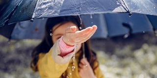 В Саратове ожидается дождь и понижение температуры до +8 В Саратове ожидается дождь и понижение температуры до +8