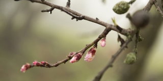 В Саратовской области после дождливых выходных наступит тепло до +21 В Саратовской области после дождливых выходных наступит тепло до +21