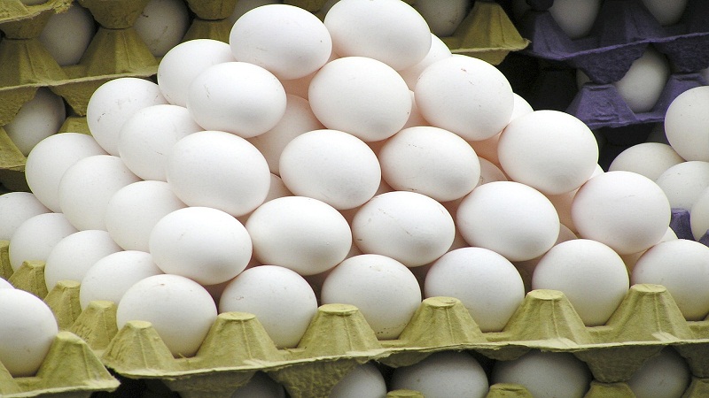 В Саратовскую область не пустили казахстанские яйца