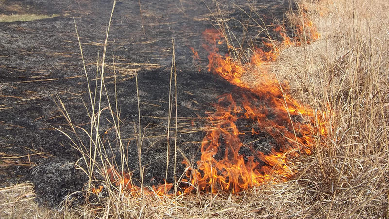 В Саратовском районе горящая трава угрожает Багаевке