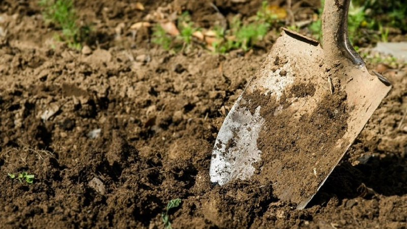 В Энгельсе нашли закопанное тело женщины, пропавшей в 2015 году