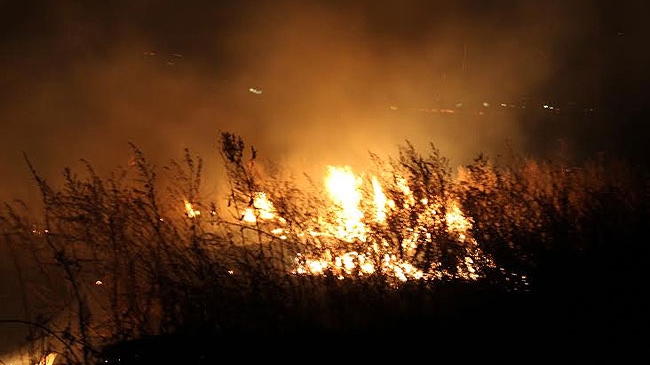В Питерском районе пожарные 6 часов тушили горящие солому и сено 