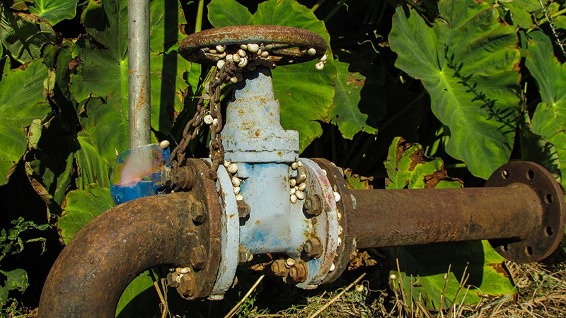 В Ершове главу предприятия уличили в незаконном демонтаже водопровода