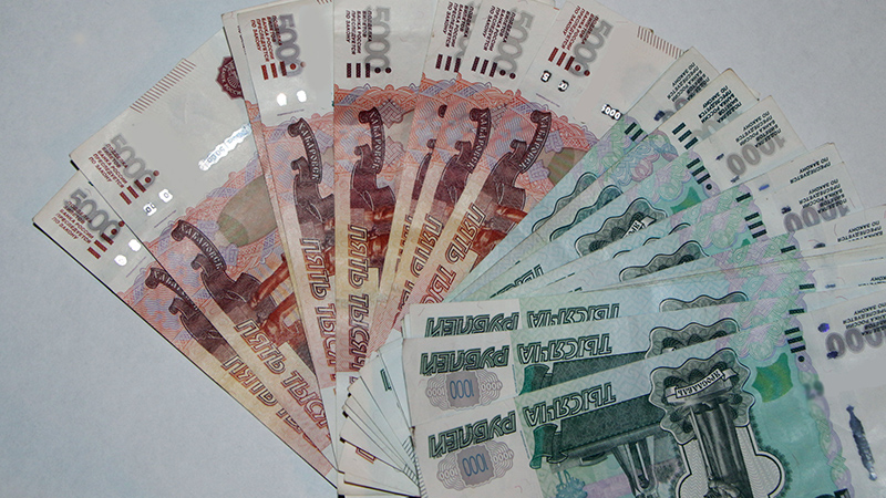 В Пугачеве рабочий при ремонте жилья украл у хозяйки 250 тысяч рублей