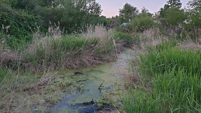 В Ленинском районе мужчина погиб в болоте