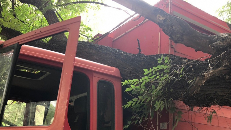 В Ленинском районе упавшее дерево придавило грузовик