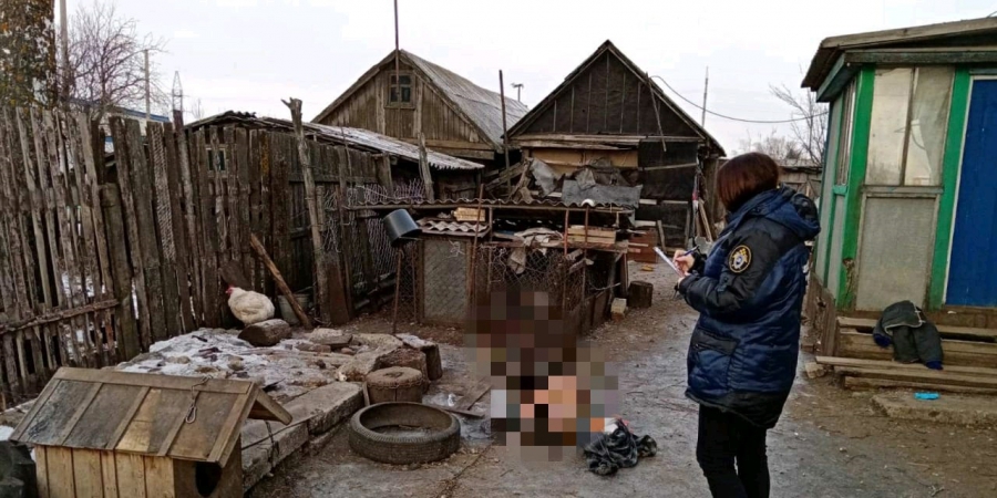 Жительница Турков нашла во дворе мертвого мужа с голым торсом