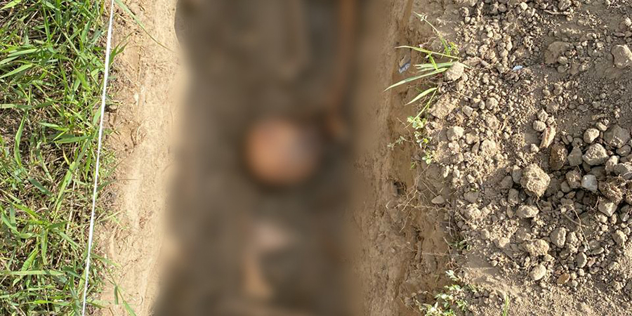 Жители Красноармейска нашли в траншее на своем участке человеческие кости 