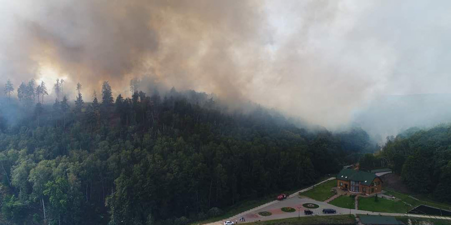 В Красноармейском районе ввели режим ЧС из-за горящих лесов