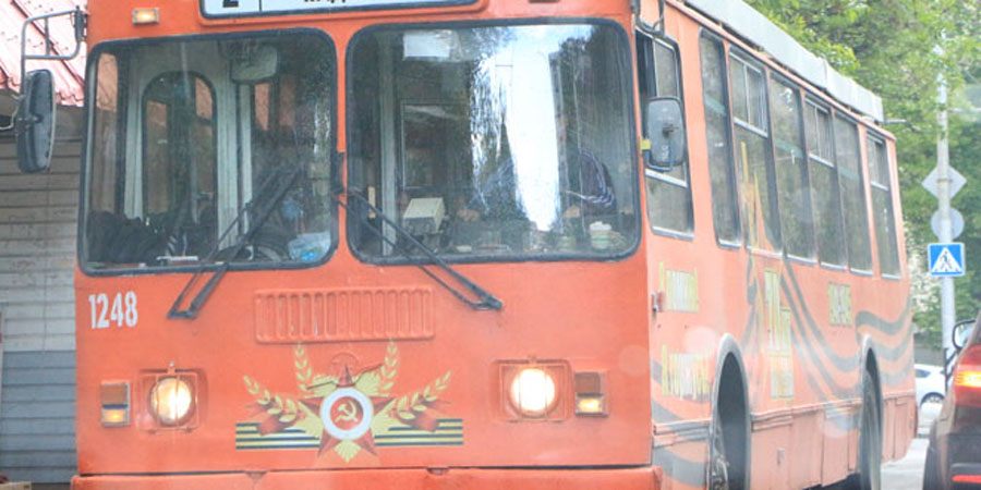 В Саратове из-за опиловки деревьев не ходят троллейбусы двух маршрутов