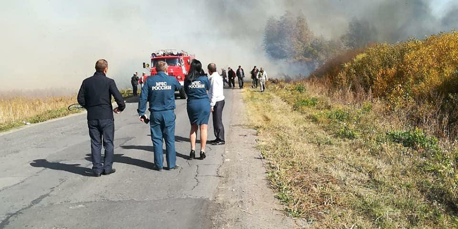 Лесной пожар в Лысогорском районе тушат МЧС, лесники и добровольцы. Видео