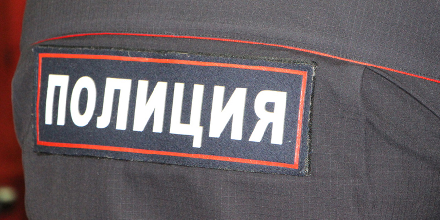 Пугачевца осудят за «бодание» и удар полицейского в грудь