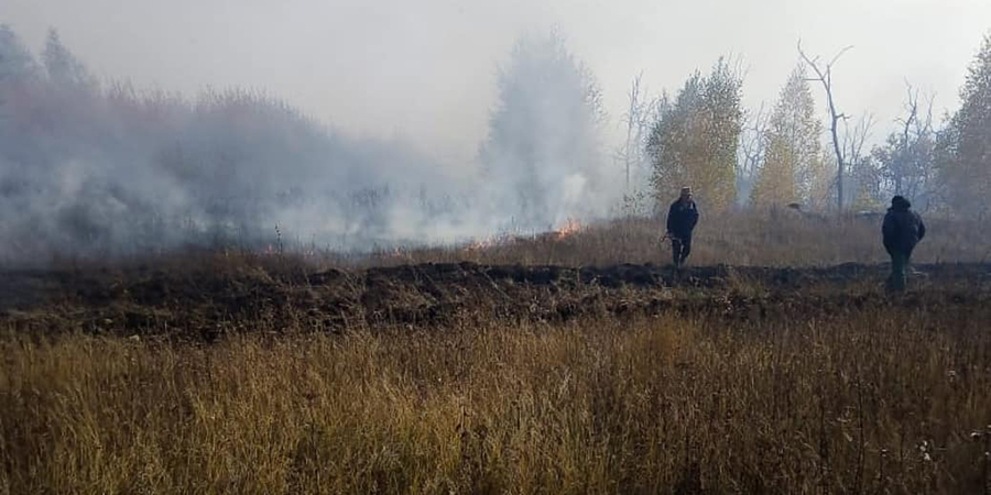 Лесной пожар под Аткарском: ситуация ухудшилась из-за ветра и поваленных деревьев