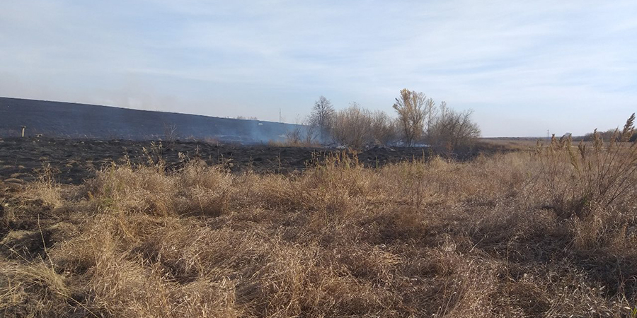 В Аркадакском районе сотрудники МЧС защищают село от крупного пожара
