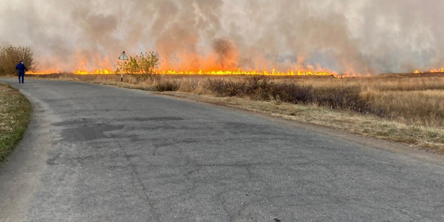 Радаев поблагодарил МЧС за оперативное тушение лесных пожаров