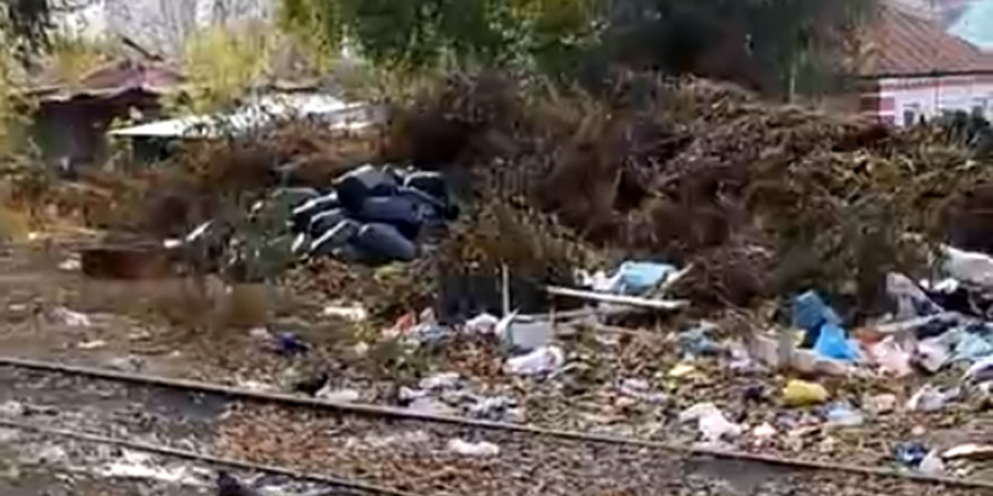 Жители Агафоновки вновь жалуются на мусорные завалы из веток