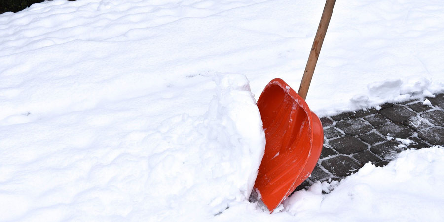 Минобраз предложил саратовским учителям жаловаться на принуждение к уборке снега