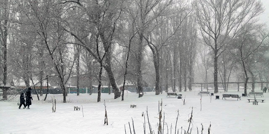 Саратовская прокуратура выявила недостатки в работе городской ГИБДД во время снегопадов