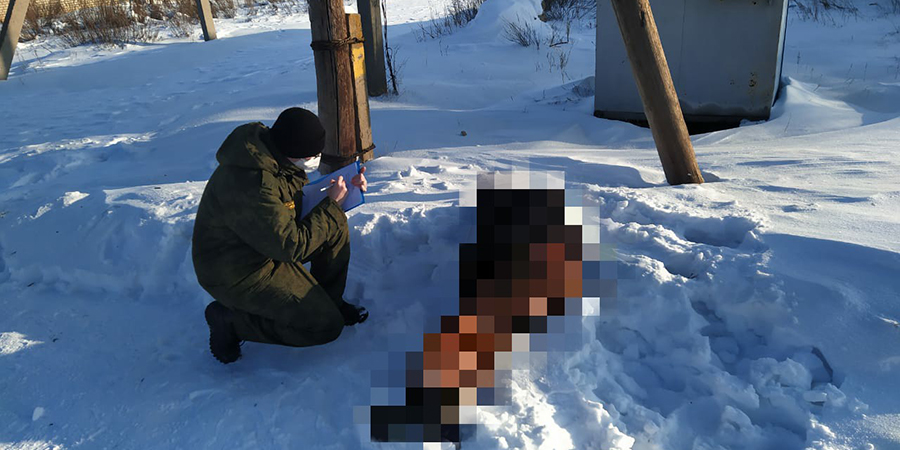 Под Ершовом сельчанин нашел на обочине труп замерзшего мужчины
