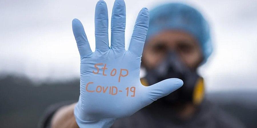 В Саратовской области еще 204 человека заболели коронавирусом