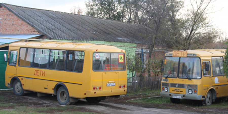 Водителей школьных автобусов в Ивантеевском районе заставили пройти психиатрическую экспертизу