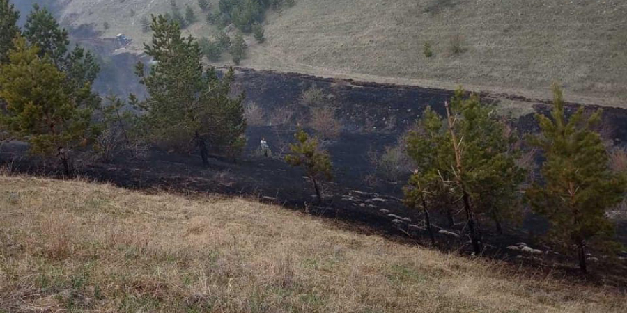 По факту пожара в хвалынском национальном парке возбуждено уголовное дело