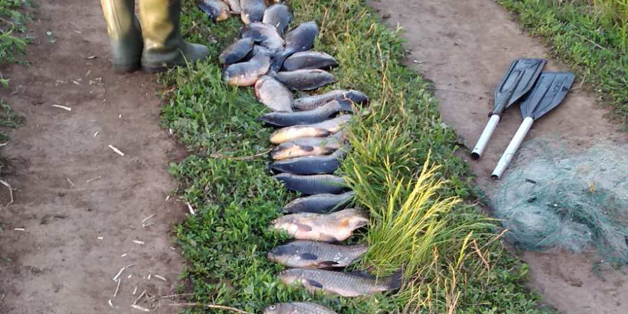 В Энгельсском районе поймали браконьера с 42 карасями