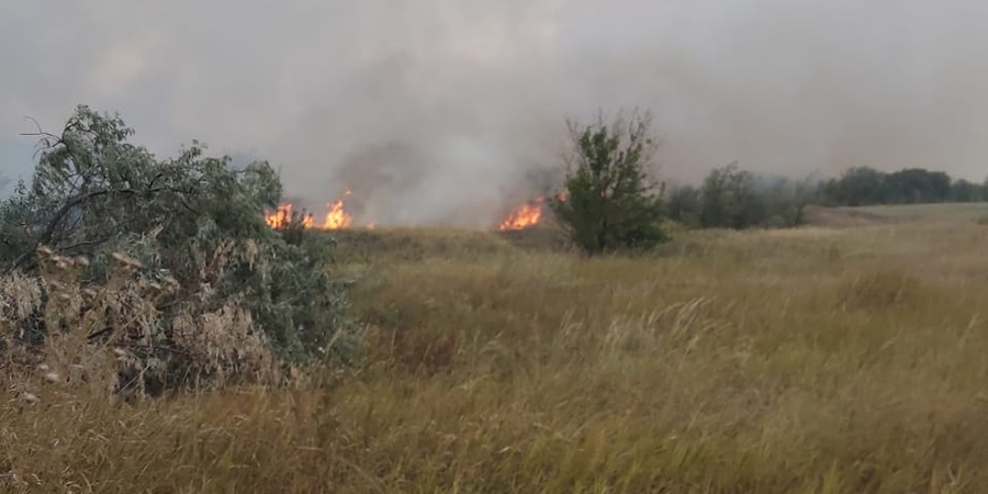 В Саратовском районе 6 часов тушили лесной пожар на 25 гектарах