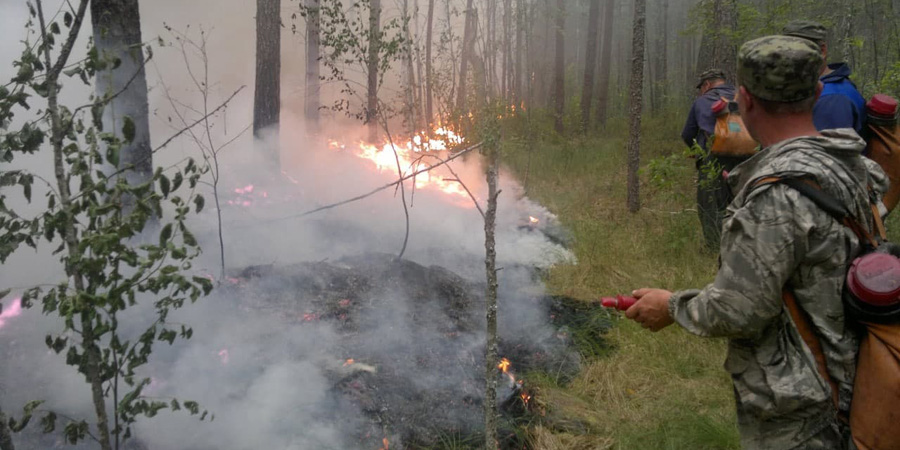В Базарно-Карабулакском районе загорелся лес