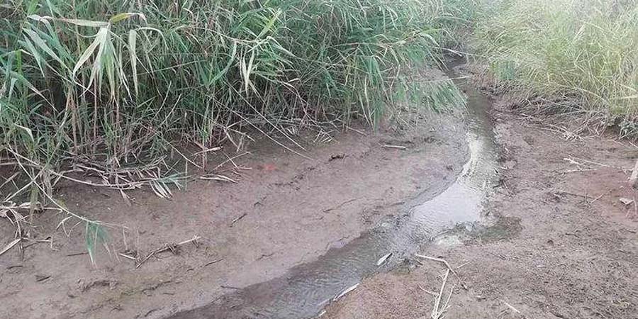 Минприроды назвало причины пересыхания пруда в Саратовском районе