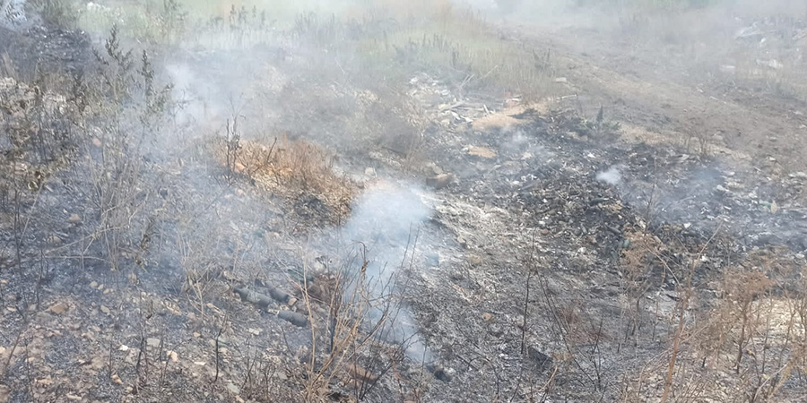 В Красноармейском районе сгорели лес и поля на площади 42 тысячи кв. м