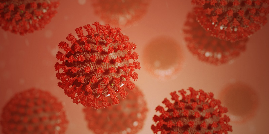 В Саратовской области суточное число заболевших коронавирусом выросло до 205 человек