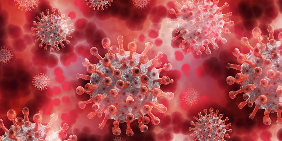 В Саратовской области больше недели нет смертей от коронавируса