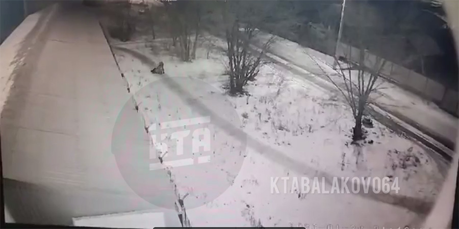 В Балакове нападение «маньяка» на девушку попало на камеру видеонаблюдения