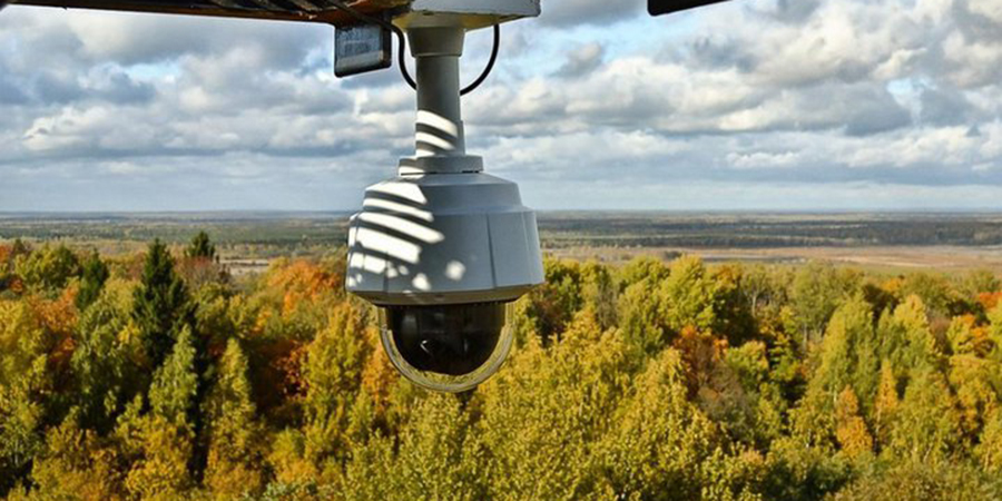 В Саратовской области установят 21 камеру для охраны лесов от пожаров