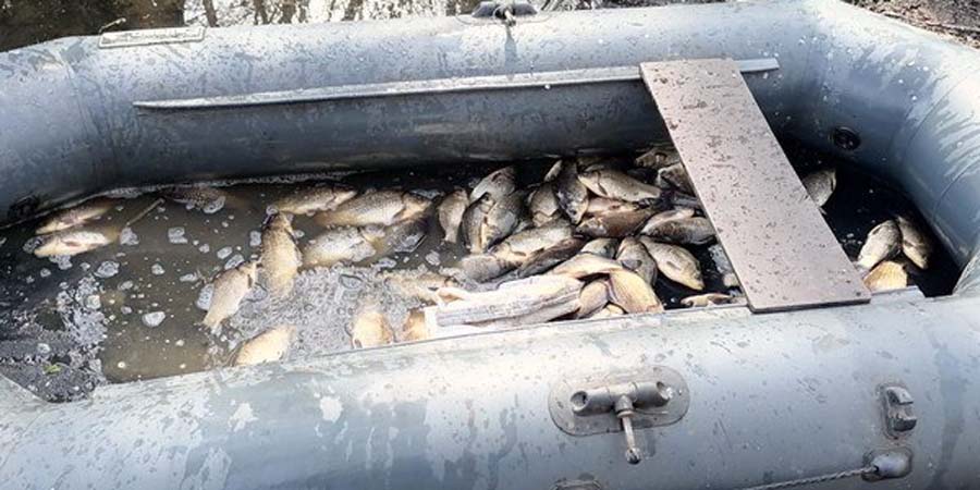 В Балашовском районе мужчина незаконно наловил рыбы на 37 тысяч