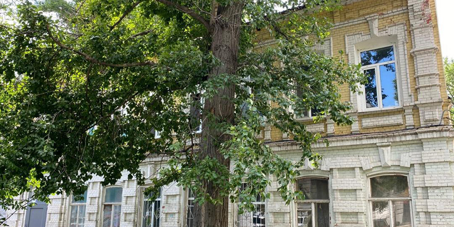Дом врача на Шевченко признали объектом культурного наследия после экспертизы