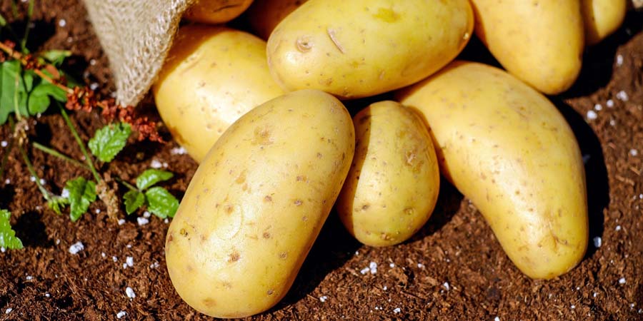Подорожание картошки в Саратове объяснили с поставками из Египта и Пакистана