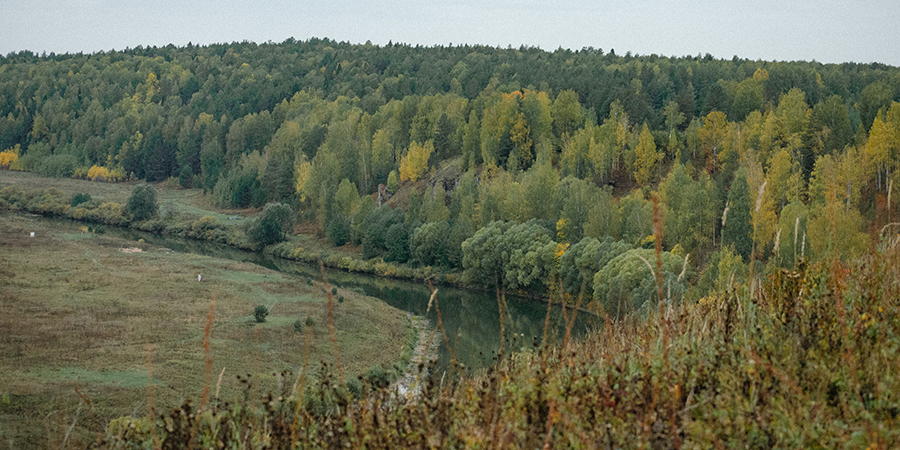 В Саратовской области ограничили посещение лесов до конца лета