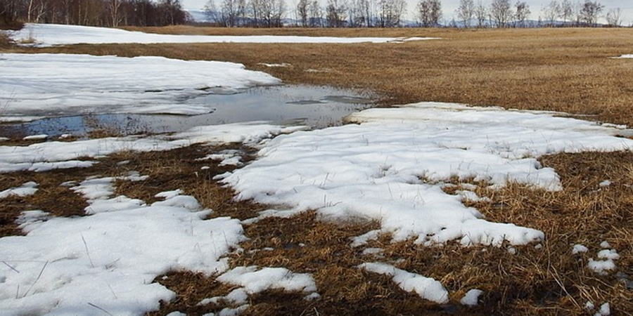Жителей Саратовской области ждет оттепельный день без снега