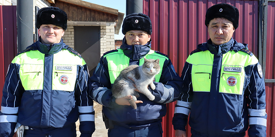 В Новоузенске сотрудники ДПС из полыхавшего сарая спасли свиней и кошку