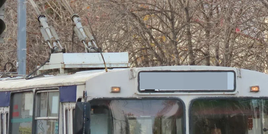 В Балакове начали проверку из-за нападения пассажира троллейбуса на девочку