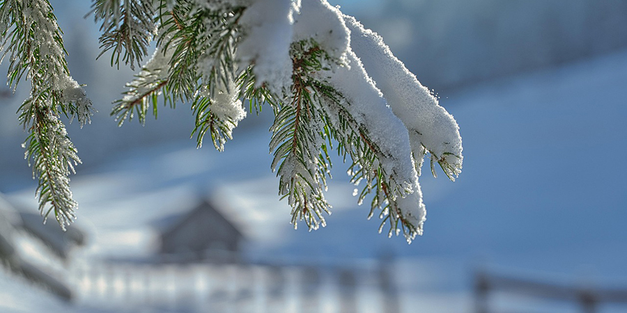 В Саратовской области прогнозируют небольшой снег, гололед и туман