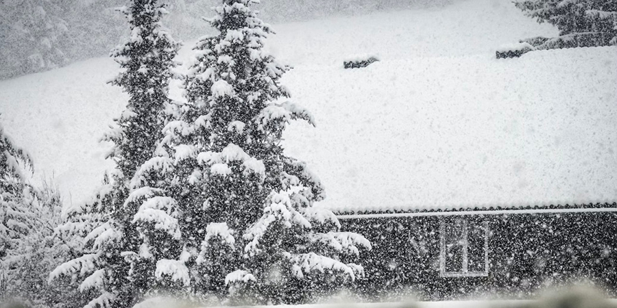 В Саратовской области прогнозируют метели и усиление ветра до 20 м/с