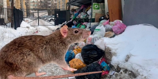 ��������� ���� ��� ������ ����������