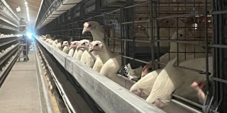 ������� ����� ����������� ����������